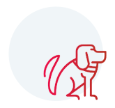 stray dogs